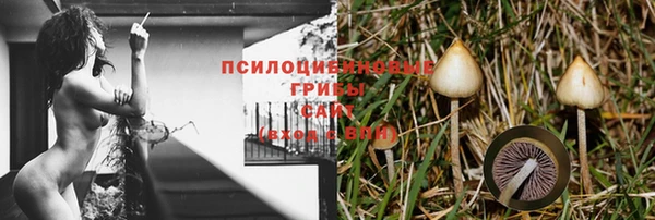 мяу мяу мука Арсеньев