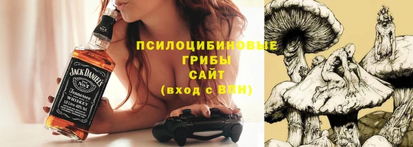 мяу мяу мука Арсеньев