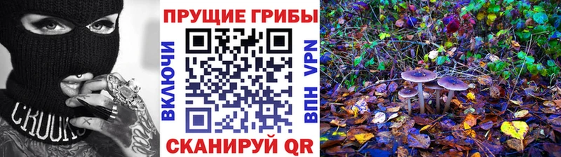 продажа наркотиков  Северо-Курильск  мега ссылка  Псилоцибиновые грибы Magic Shrooms 